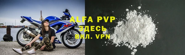 СК Вязьма