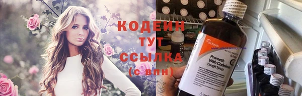 мдпв Горнозаводск